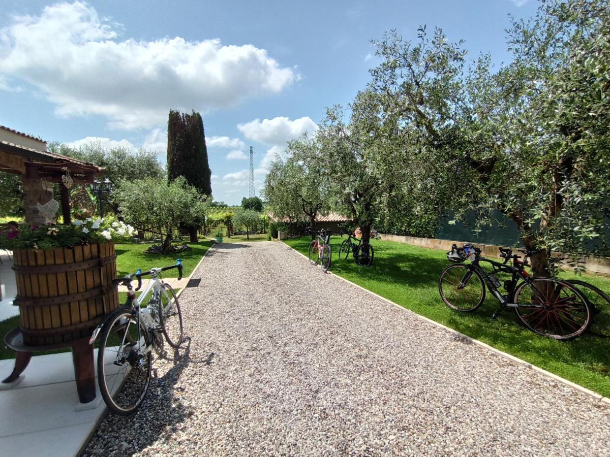 Le Zampolle B & B Colà Zewnętrze zdjęcie