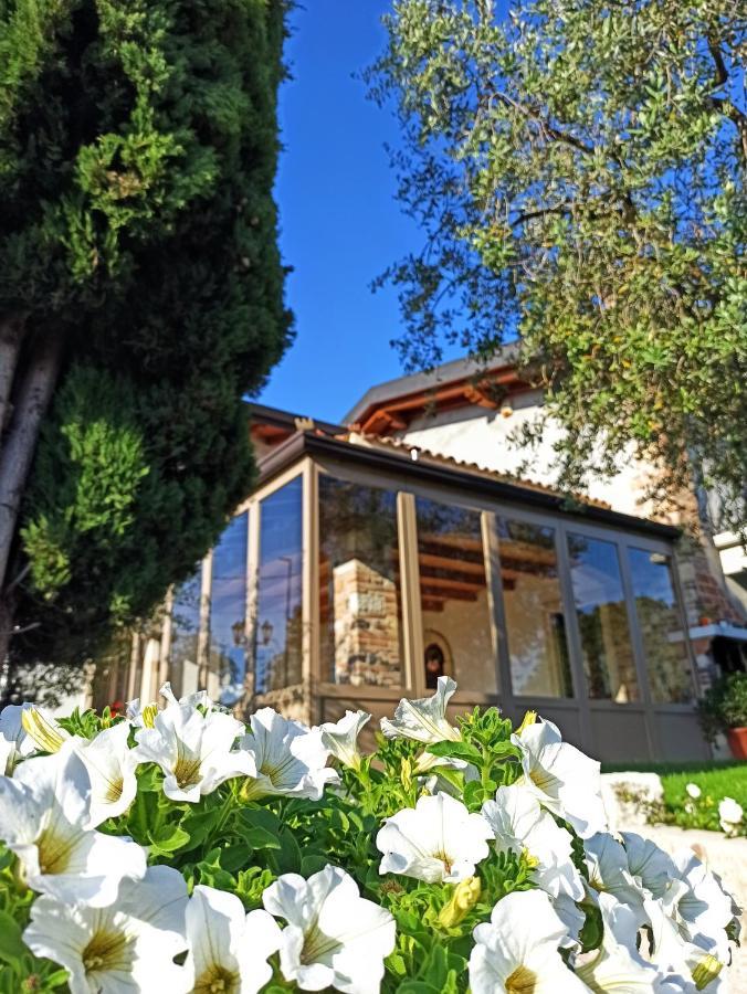 Le Zampolle B & B Colà Zewnętrze zdjęcie