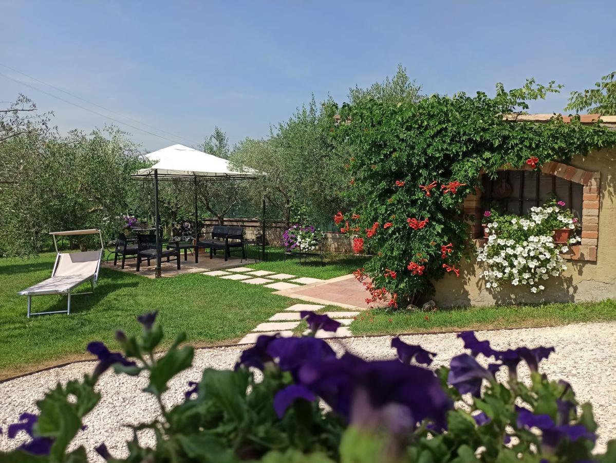 Le Zampolle B & B Colà Zewnętrze zdjęcie